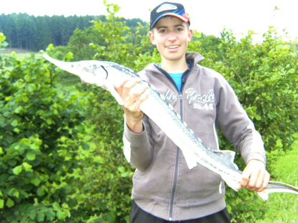 fisch'n fun - 