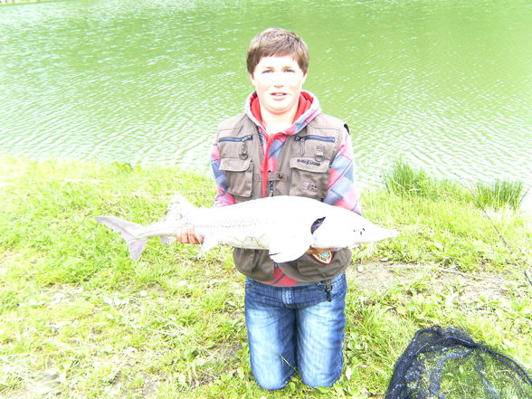 fisch'n fun - 