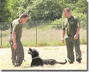 Polizei,Rettung und Feuerwehr - 