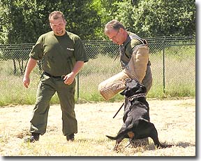 Polizei,Rettung und Feuerwehr - 