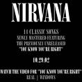 NIRVANA !!!!!!!!!!!!!!!!!!!!!!!!!!!!!!!! - 