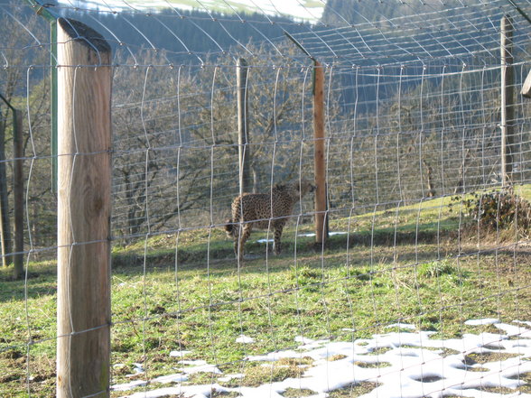 Wildpark Altenfelden - 