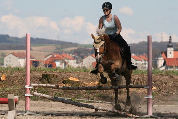 Neueste Fotos vom Hottehü - 