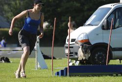 Agility Tuniere - 