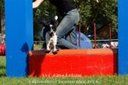 Agility Tuniere - 