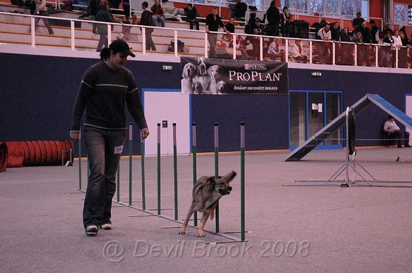 Agility Tuniere - 