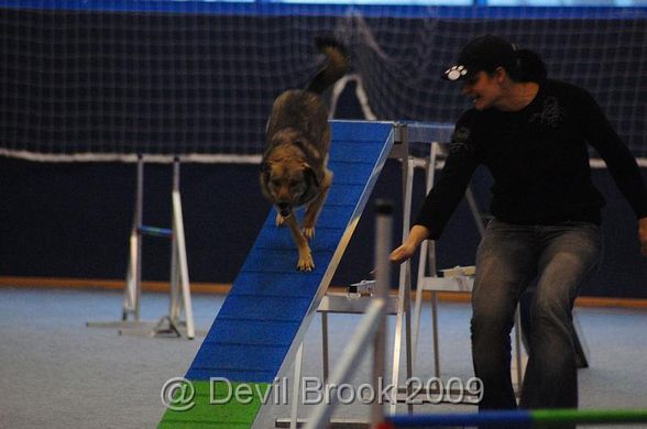 Agility Tuniere - 