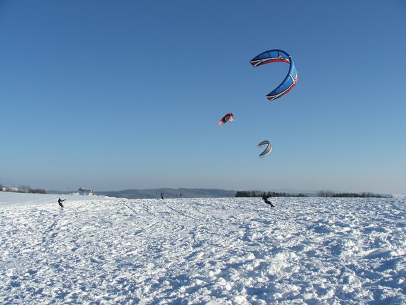 der wind .... der kite .... and friends - 