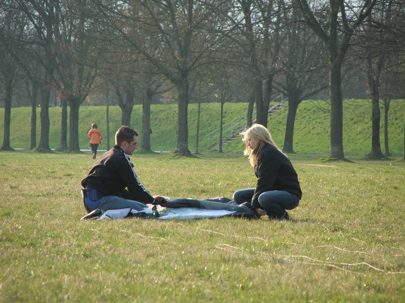 der wind .... der kite .... and friends - 