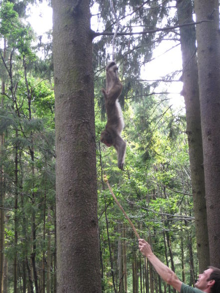 Urlaub in Kärnten - 