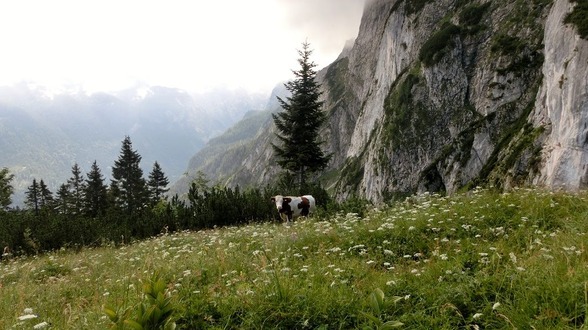 Salzkammergut - 