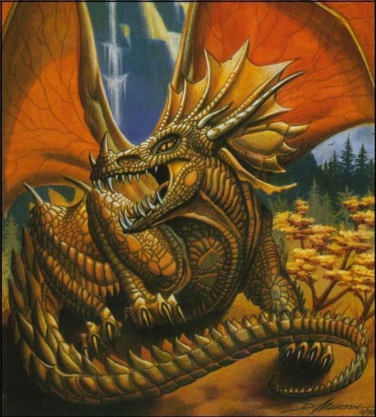 Drachen - 