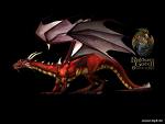 Drachen - 