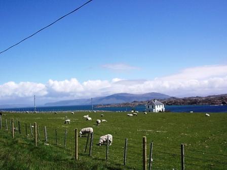 Isle of Mull Juni 2006 - 