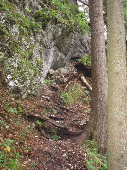 Kleiner Schönberg 02.08.2008 - 