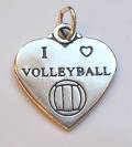 volleyball - 