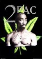 2PaC - 