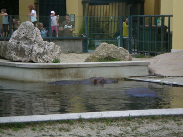 Schönbrunn - 