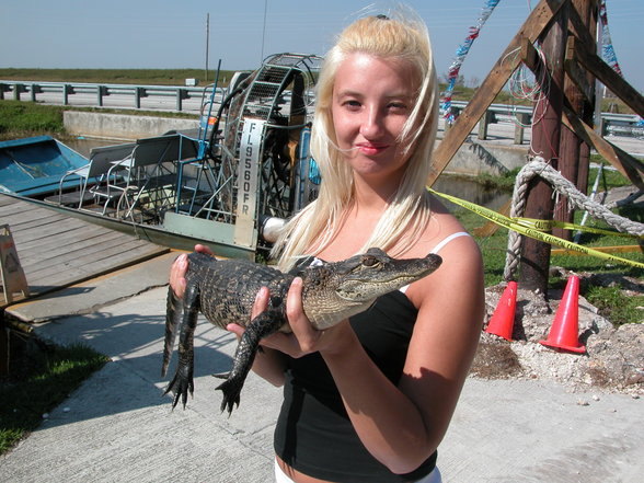 Florida Nov. 2005 - 