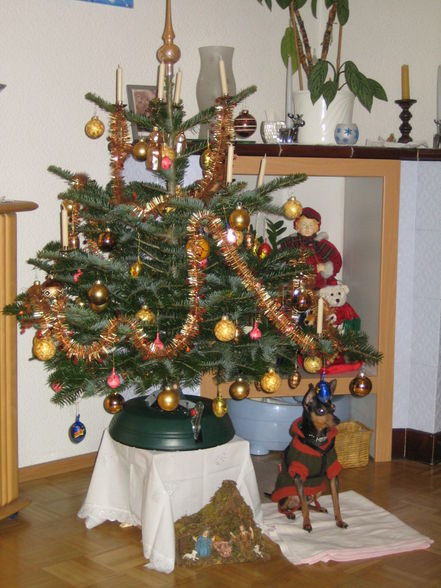 Weihnachten 08 - 