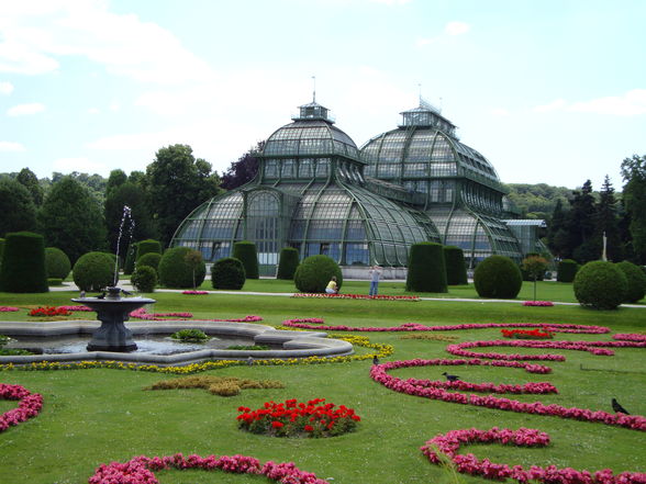 Schönbrunn 13.Juni 2009 - 