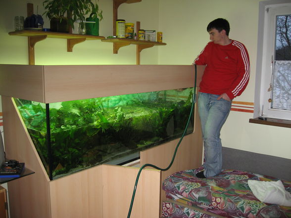 Mein Aquarium - 