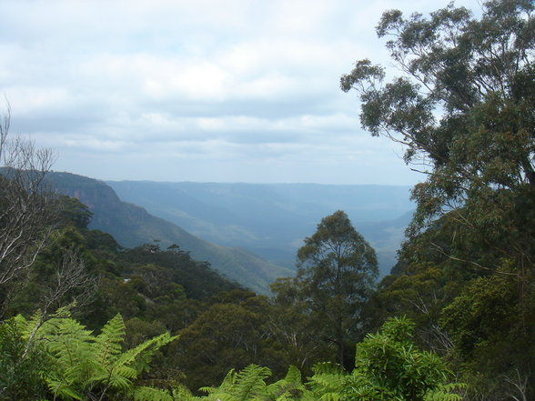 Blue Mountains - 