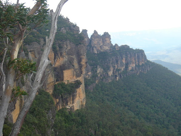 Blue Mountains - 