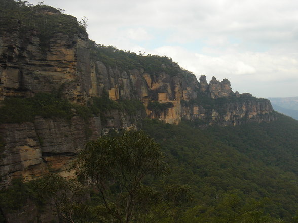 Blue Mountains - 