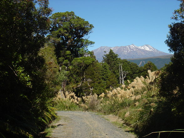 Tongariro National Park - 