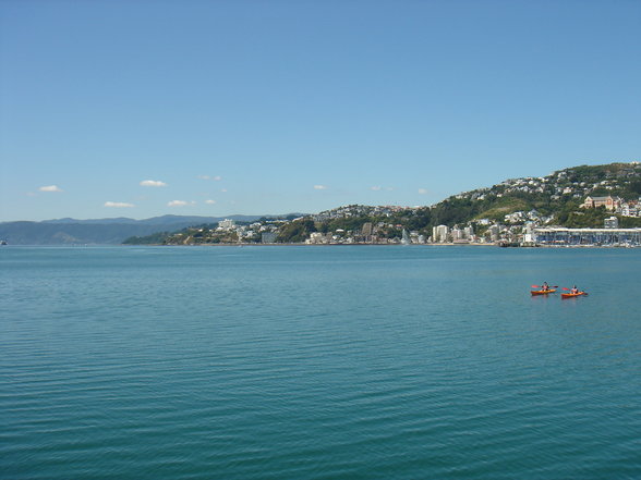 Wellington - 