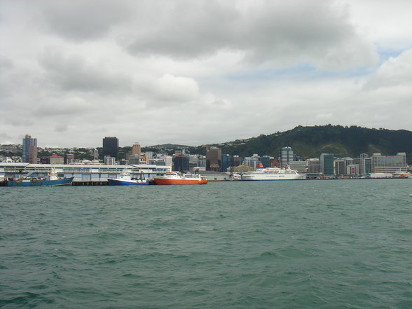 Wellington - 