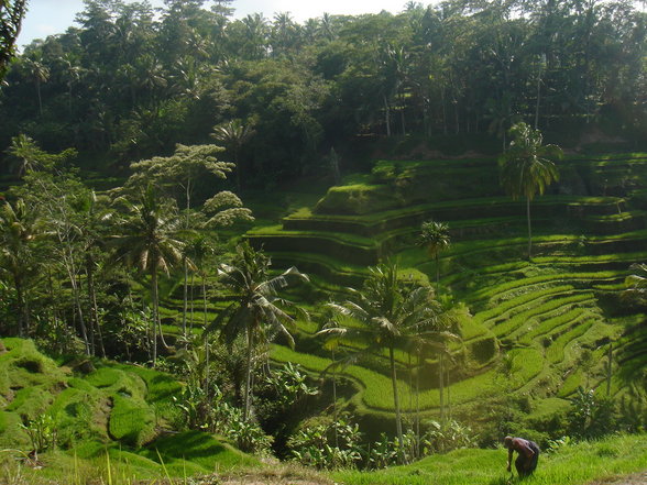 Bali & Lombok - 