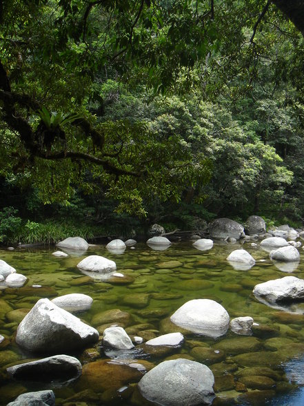 Magnetic Island-Cairns-Cape Tribulation - 