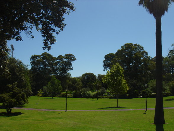 Adelaide - 