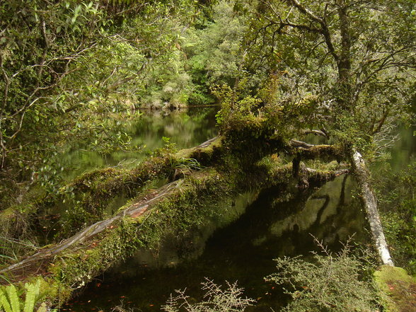 von der Westküste zur Ostküste - 