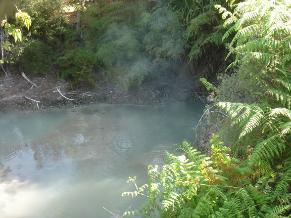 Rotorua und Taupo - 