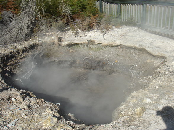 Rotorua und Taupo - 