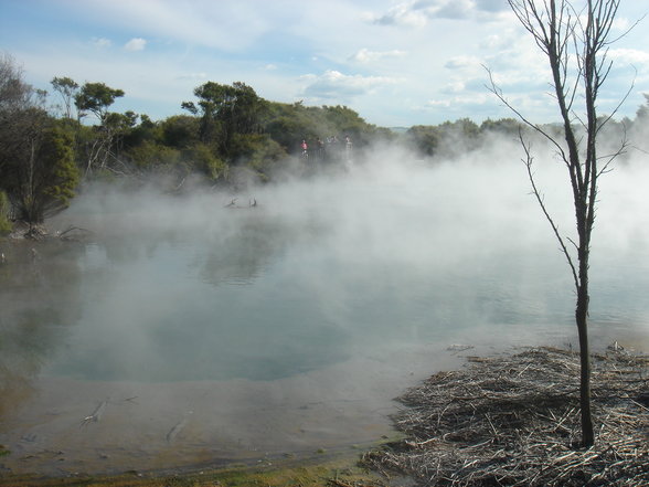 Rotorua und Taupo - 