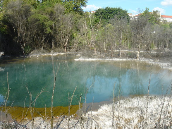 Rotorua und Taupo - 