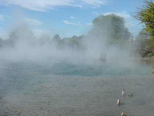 Rotorua und Taupo - 