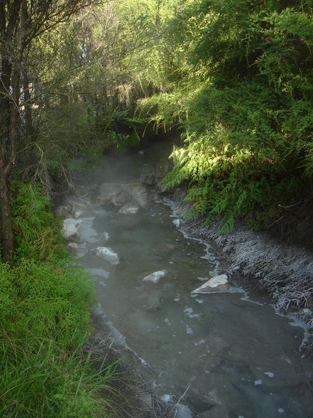 Rotorua und Taupo - 