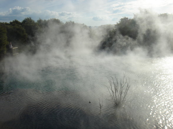 Rotorua und Taupo - 