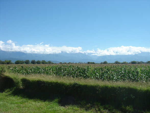 Salta & Quebrada de Cafayate - 