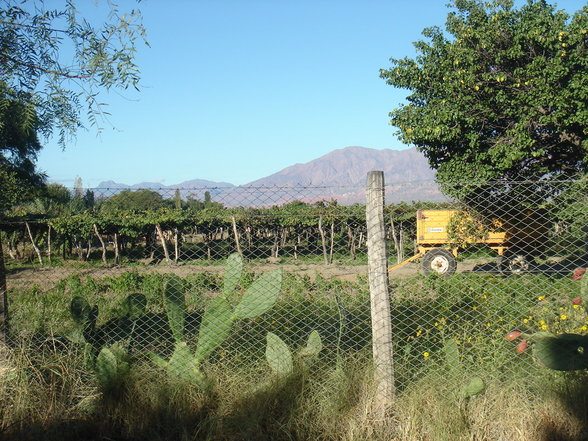 Salta & Quebrada de Cafayate - 