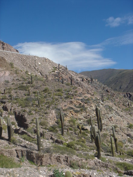 Atacama Wüste - 