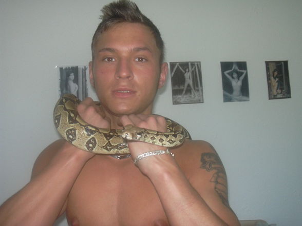 my snake - 