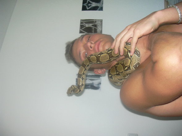 my snake - 