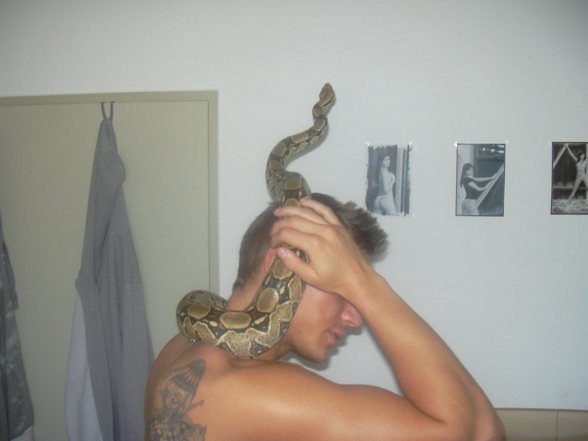 my snake - 