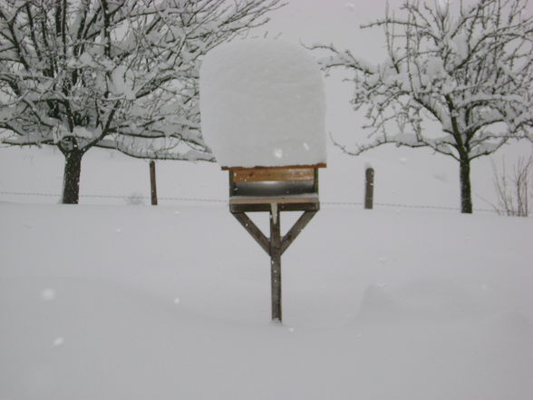 Schneeeeeeeeee - 